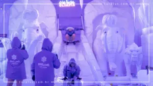 turplus-imagem-galeria-ingresso-dreams-ice-bar-em-olimpia-sp-69d0297707c94_10.webp