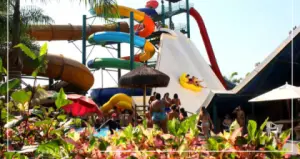 Ingresso Lagoa Termas Parque | Caldas Novas GO