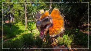 turplus-imagem-galeria-ingresso-vale-dos-dinossauros-em-olimpia-sp-69d024f9552d8_6.webp