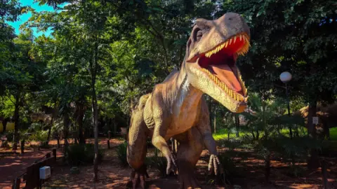 Ingresso Vale dos Dinossauros em Olimpia SP