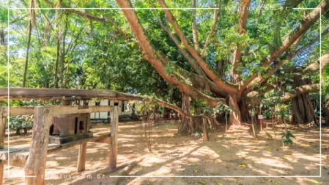 Casa Goiana em Caldas Novas | Cultura de Goiás
