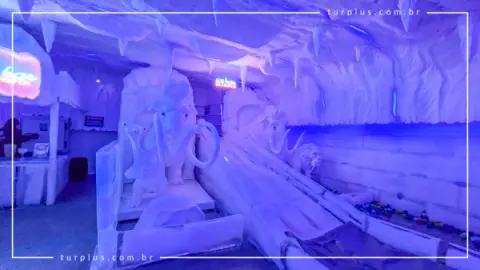 turplus-imagem-galeria-ingresso-dreams-ice-bar-em-olimpia-sp-69d029744fa26_0.webp