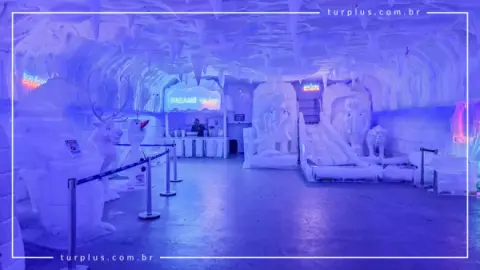 turplus-imagem-galeria-ingresso-dreams-ice-bar-em-olimpia-sp-69d0297495d3f_1.webp