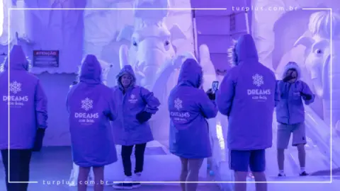 Ingresso Dreams Ice Bar em Olímpia SP