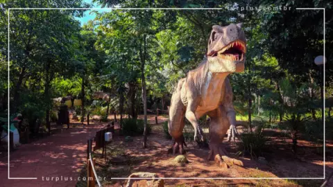 turplus-imagem-galeria-ingresso-vale-dos-dinossauros-em-olimpia-sp-69d024f821f1e_3.webp