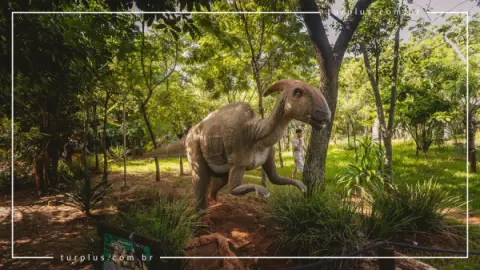 turplus-imagem-galeria-ingresso-vale-dos-dinossauros-em-olimpia-sp-69d024f883a06_4.webp