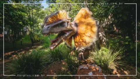 Ingresso Vale dos Dinossauros em Olimpia SP