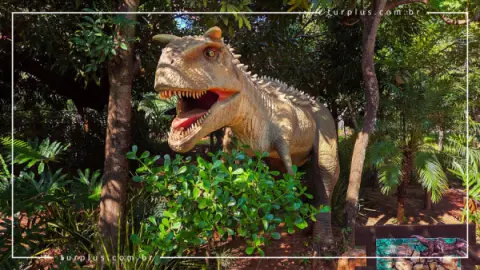 Ingresso Vale dos Dinossauros em Olimpia SP