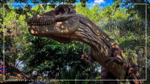Ingresso Vale dos Dinossauros em Olimpia SP