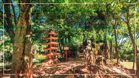 Jardim Japonês em Caldas Novas