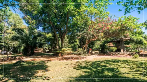 Jardim Japonês em Caldas Novas