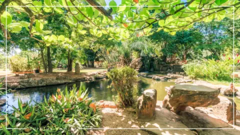 Jardim Japonês em Caldas Novas