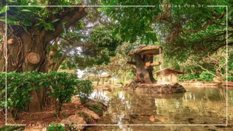 Jardim Japonês em Caldas Novas