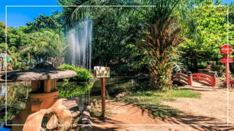 Jardim Japonês em Caldas Novas