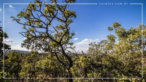 Parque Estadual da Serra de Caldas Novas