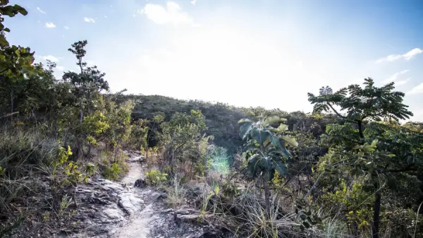 Foto demonstrativa de Parque Estadual da Serra de Caldas Novas