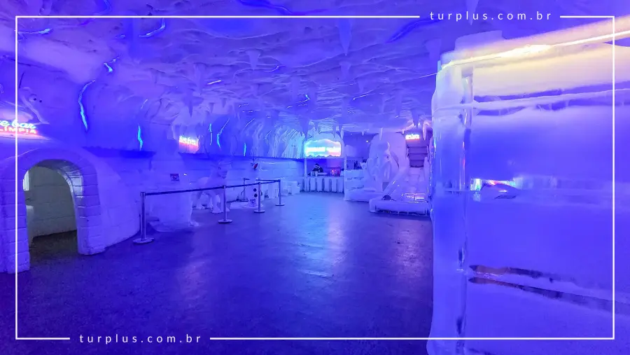 turplus-imagem-galeria-ingresso-dreams-ice-bar-em-olimpia-sp-69d02974dc74f_2.webp