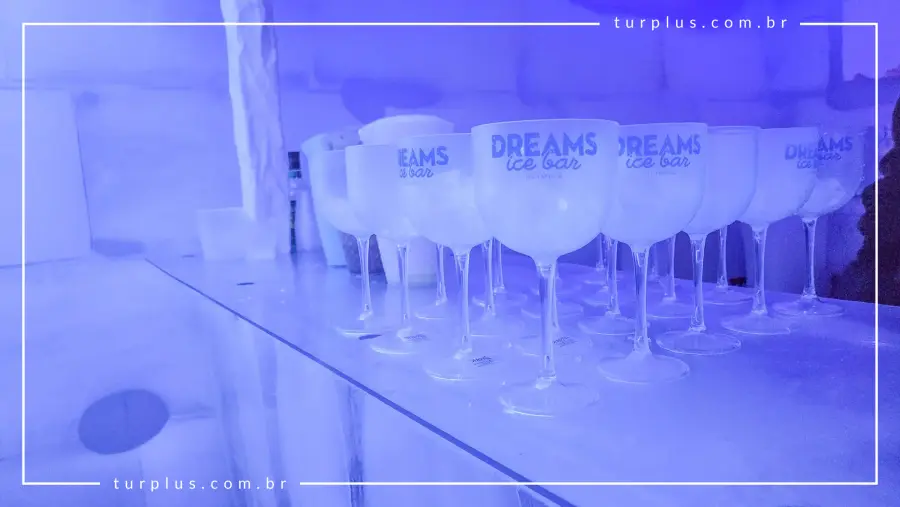 turplus-imagem-galeria-ingresso-dreams-ice-bar-em-olimpia-sp-69d029752b86b_3.webp