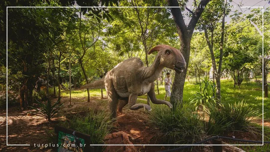 turplus-imagem-galeria-ingresso-vale-dos-dinossauros-em-olimpia-sp-69d024f883a06_4.webp