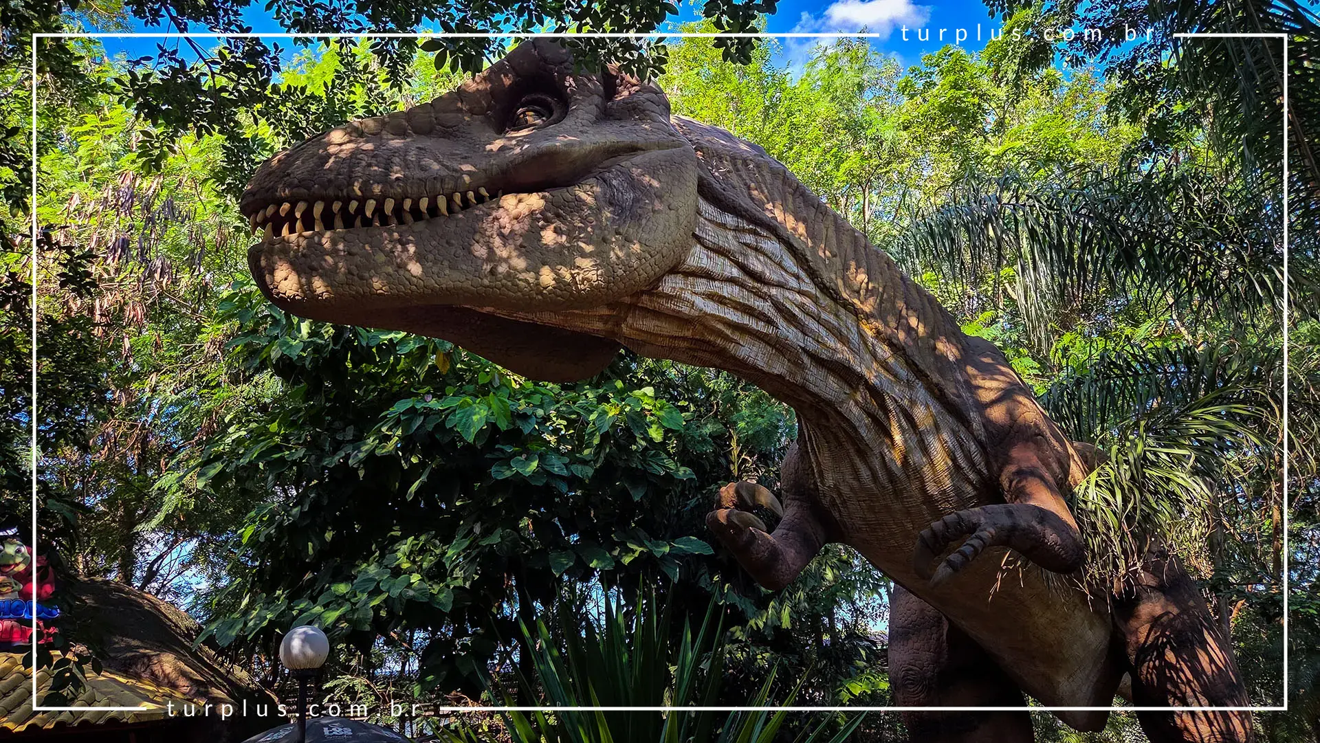 turplus-imagem-galeria-ingresso-vale-dos-dinossauros-em-olimpia-sp-69d024fbf1838_13.webp